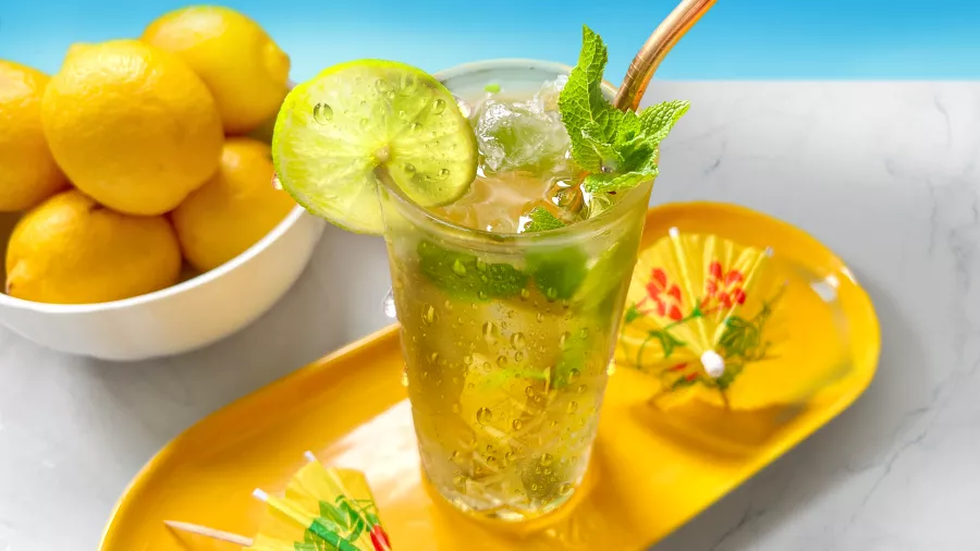 Lipton Ice Tea Naneli Yeşil Mokteyl