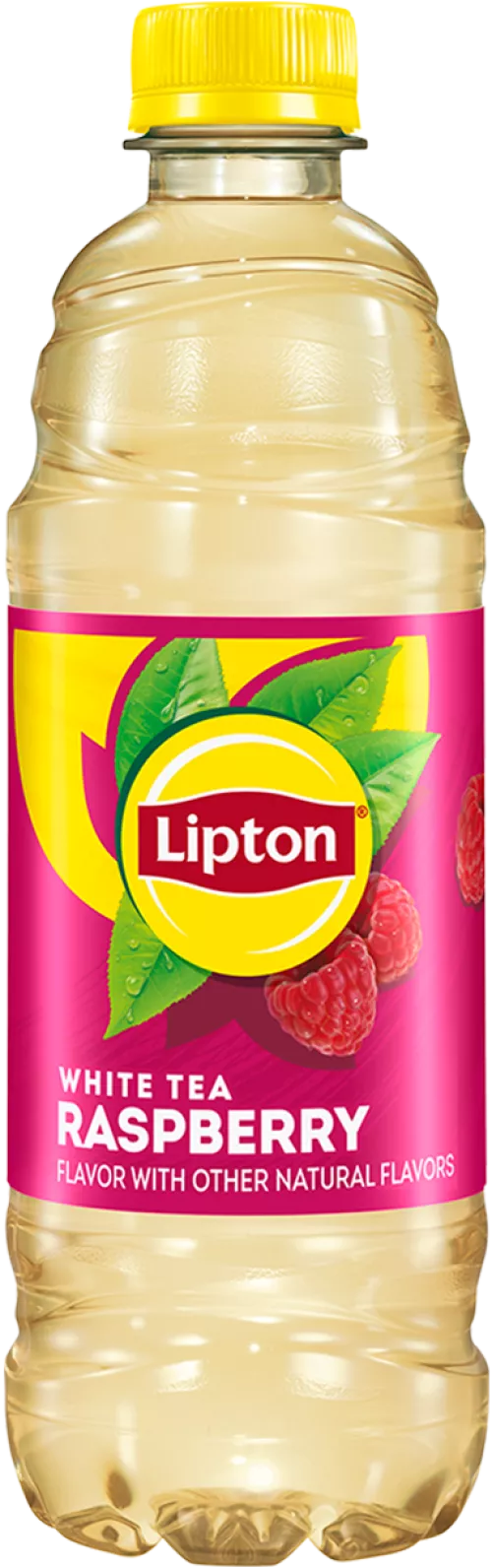 Lipton White Tea Raspberry 16.9 OZ.